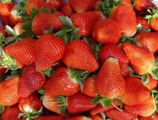 新疆草莓