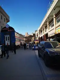 新疆特产 无花果