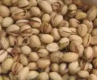 新疆喀什阿月浑子