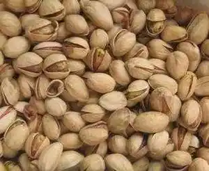 新疆喀什阿月浑子