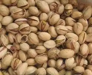 新疆喀什阿月浑子