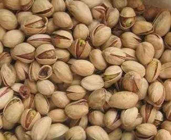 新疆喀什阿月浑子