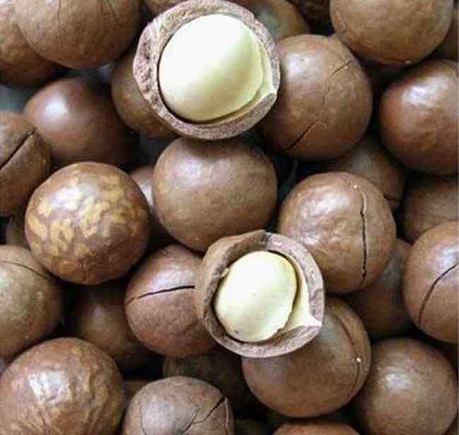 新疆特产夏威夷果