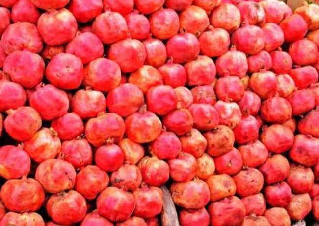 新疆石榴及叶城石榴