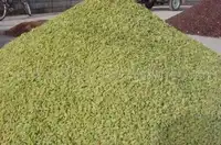 新疆吐鲁番葡萄干