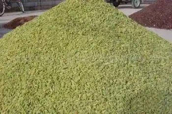 新疆吐鲁番葡萄干