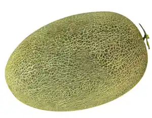 新疆伽师瓜