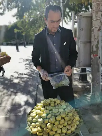 新疆特产 无花果