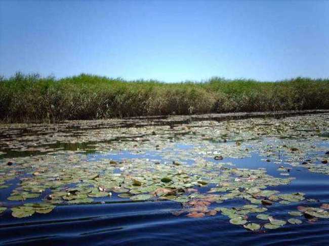 巴音郭楞蒙古自治州旅游概况,图一