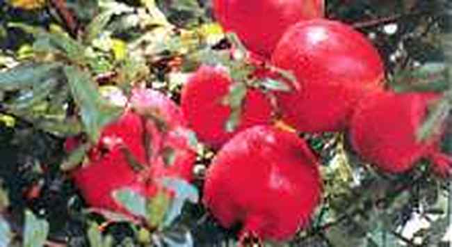 喀什地区旅游概况,图三