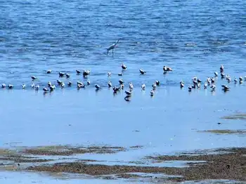 五家渠市旅游概况,图三