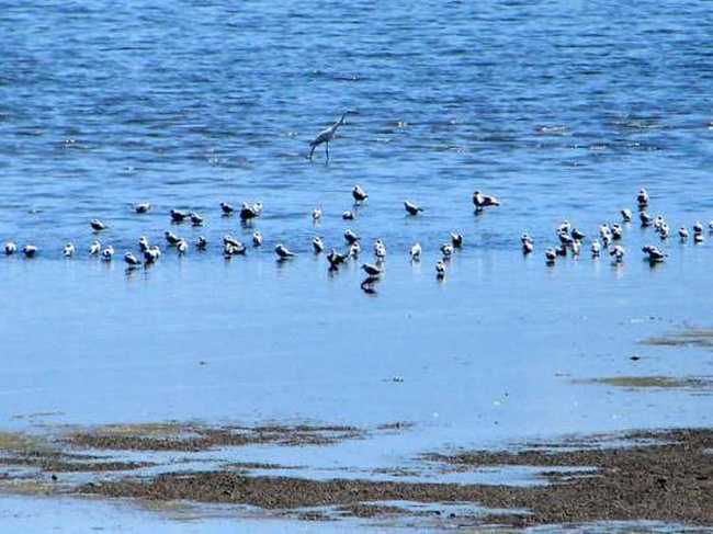 五家渠市旅游概况,图三