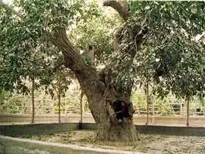 和田市旅游概况