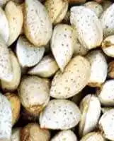 喀什地区旅游概况