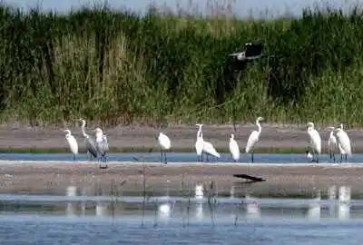 巴音郭楞蒙古自治州旅游概况