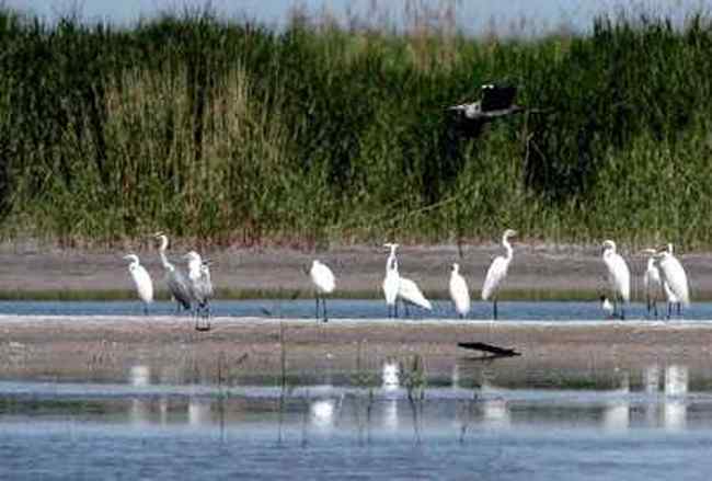 巴音郭楞蒙古自治州旅游概况,图四
